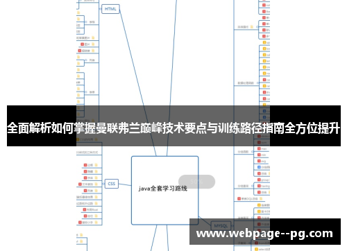 全面解析如何掌握曼联弗兰巅峰技术要点与训练路径指南全方位提升