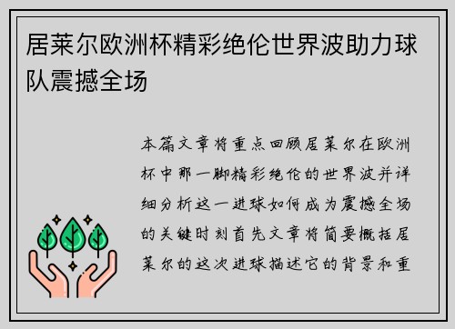 居莱尔欧洲杯精彩绝伦世界波助力球队震撼全场